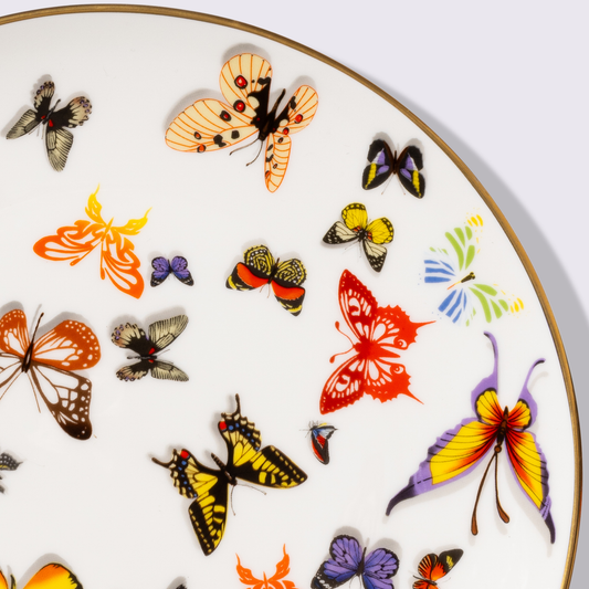 PLATO 10.5" BOSQUE 6 PIEZAS BABEL