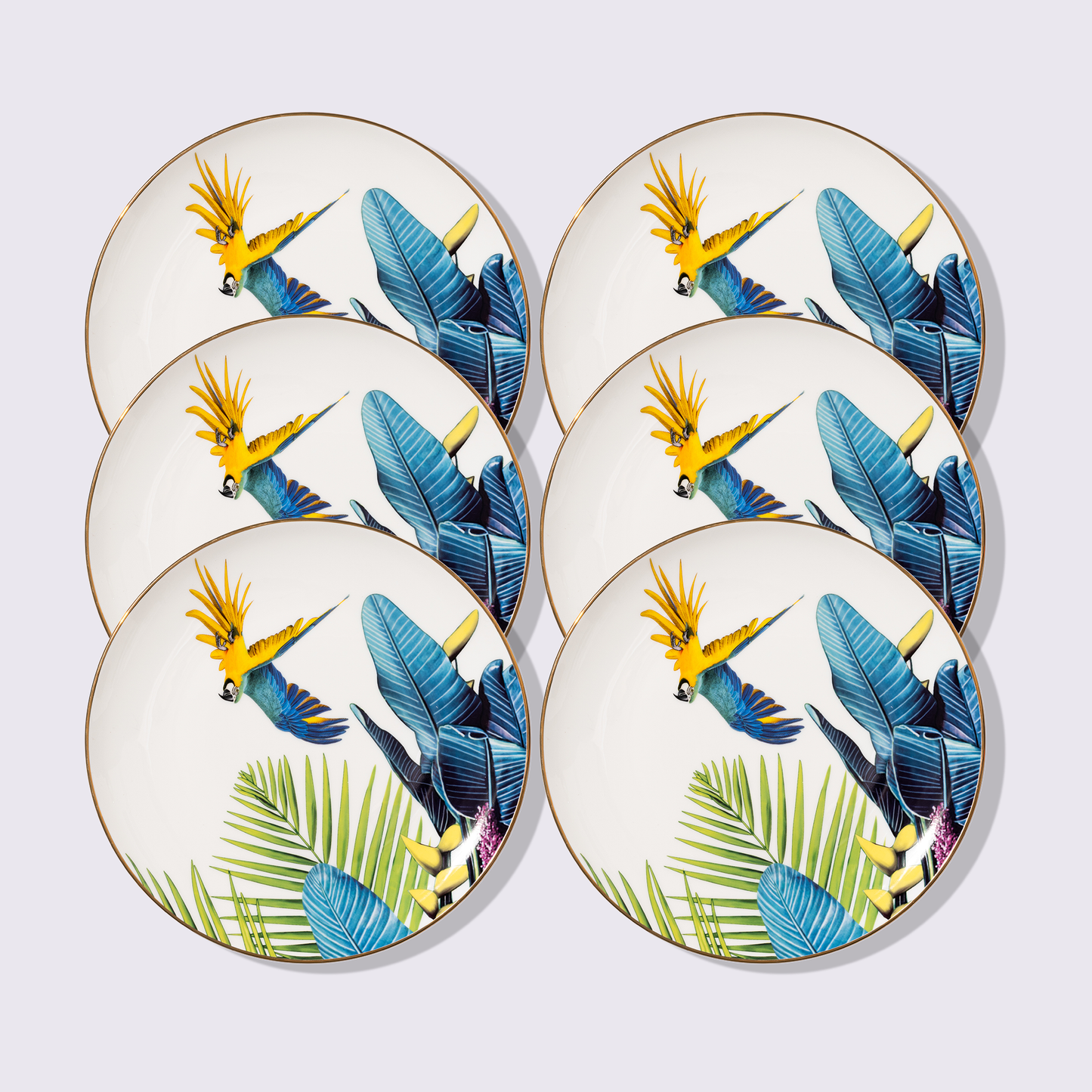 PLATO 10.5" SELVA 6 PIEZAS BABEL