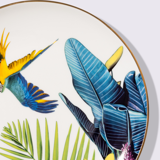 PLATO 10.5" SELVA 6 PIEZAS BABEL