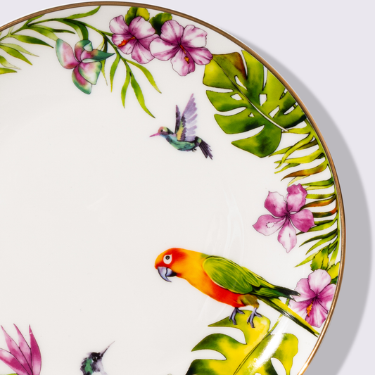 PLATO PARA ENSALADA 8" SELVA 6 PIEZAS BABEL