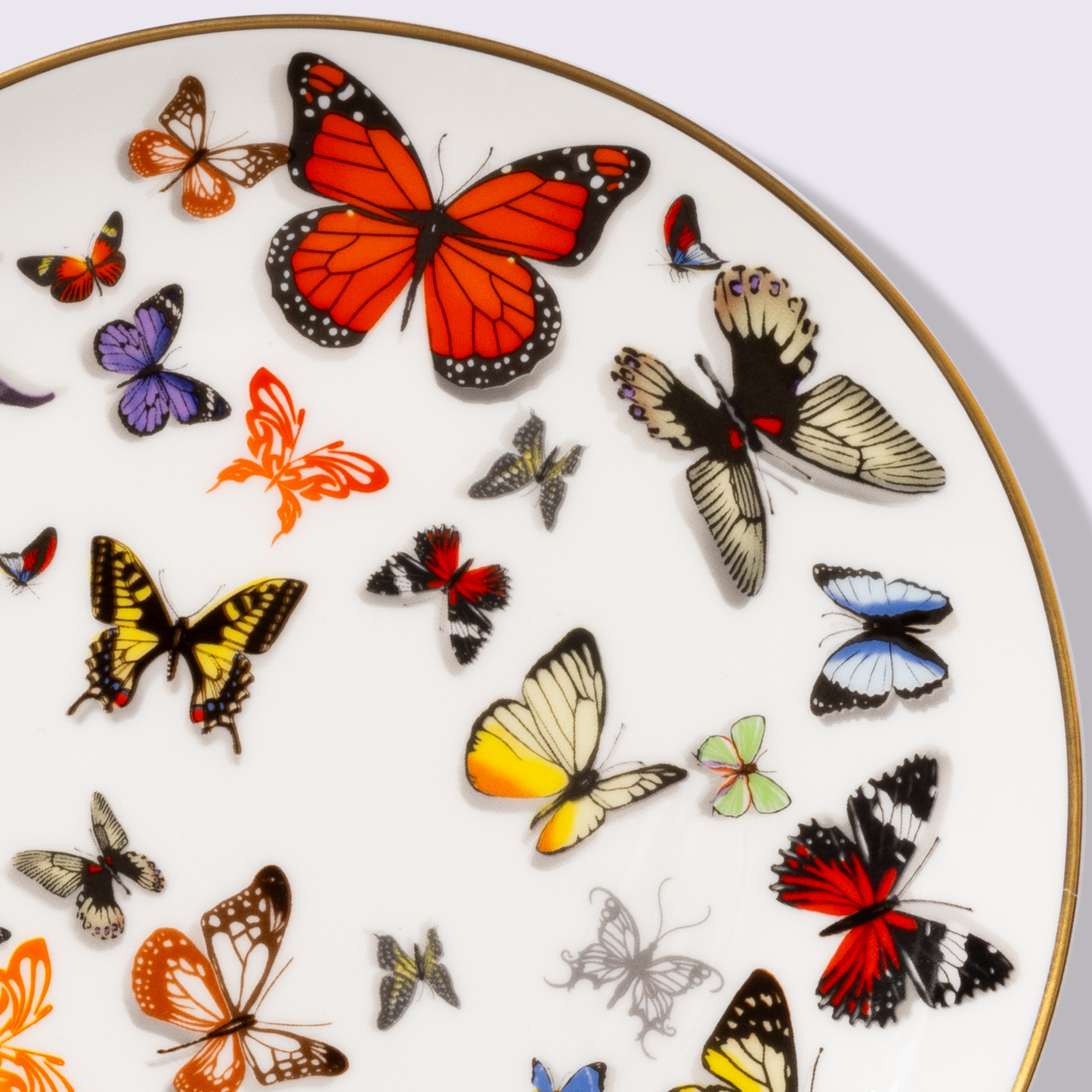 PLATO PARA ENSALADA 8" BOSQUE 6 PIEZAS BABEL