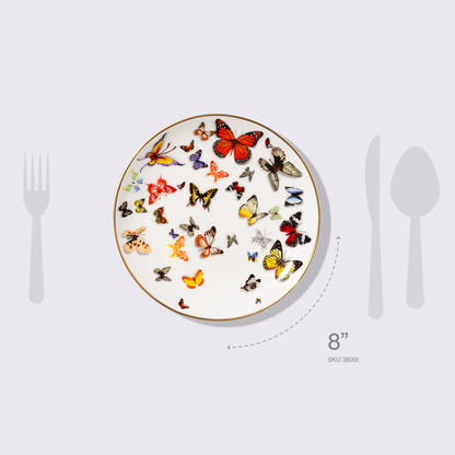 PLATO PARA ENSALADA 8" BOSQUE 6 PIEZAS BABEL