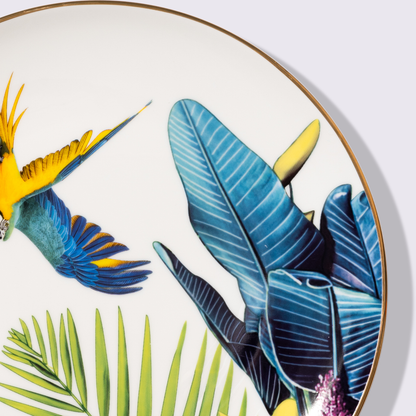 PLATO 10.5" SELVA 6 PIEZAS BABEL