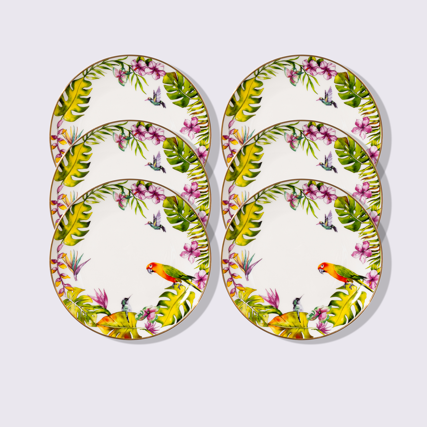 PLATO PARA ENSALADA 8" SELVA 6 PIEZAS BABEL