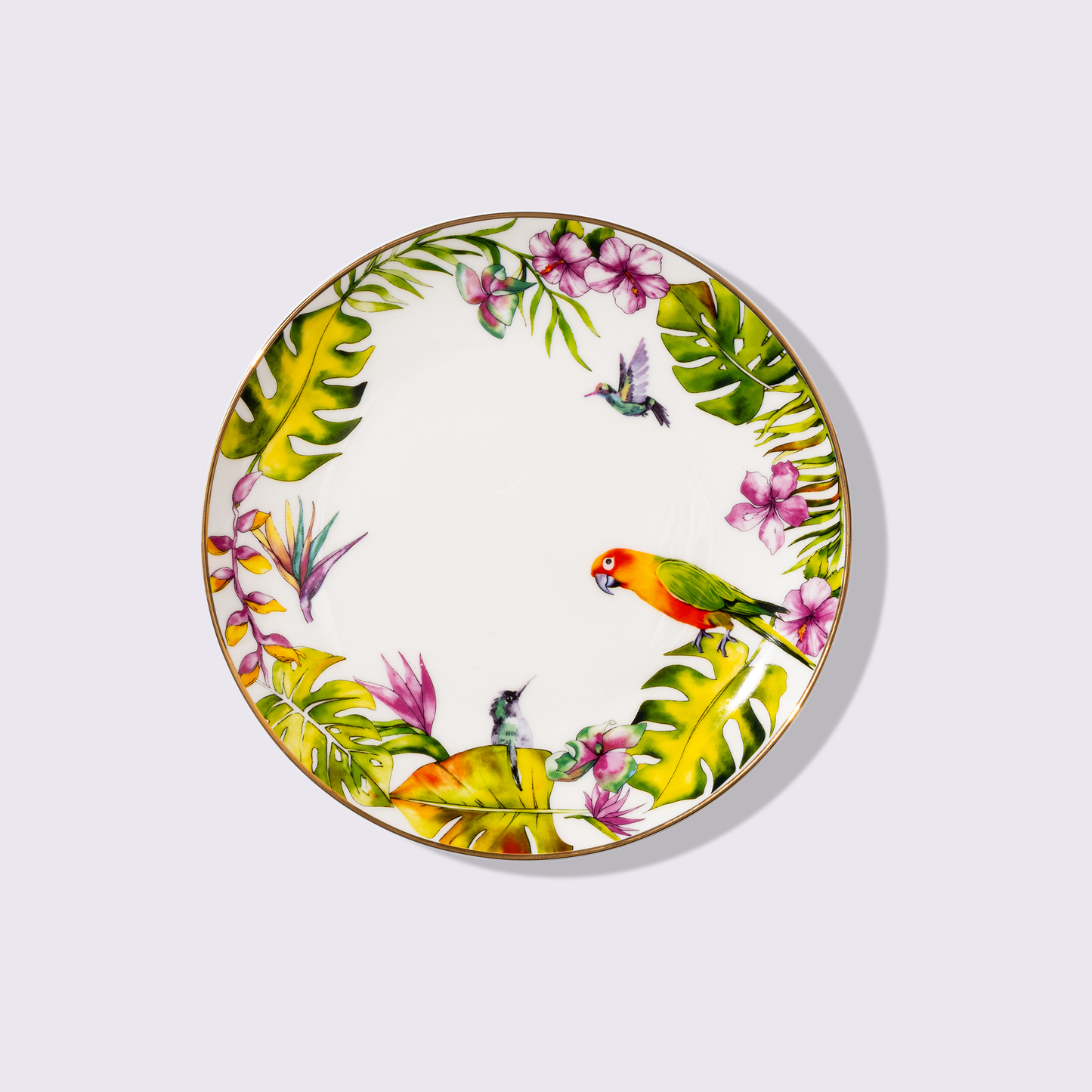 PLATO PARA ENSALADA 8" SELVA 6 PIEZAS BABEL